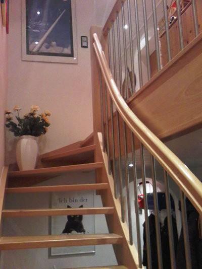 Erneuerung der zweimal 1/4 gewendelten Treppe aus Buche